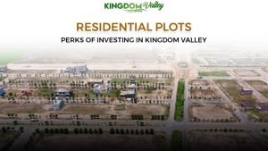 Investing in kingdom valley